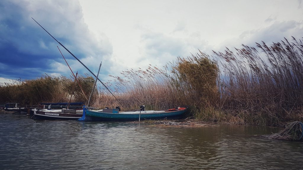 albufera-valencia