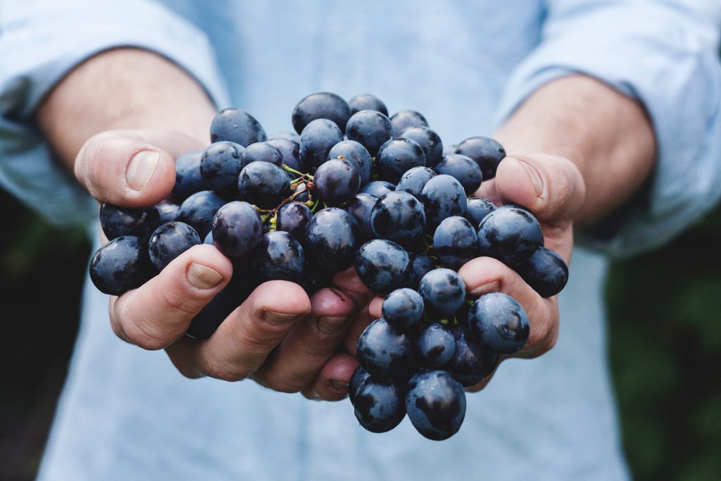 enotourism-wine-mallorca