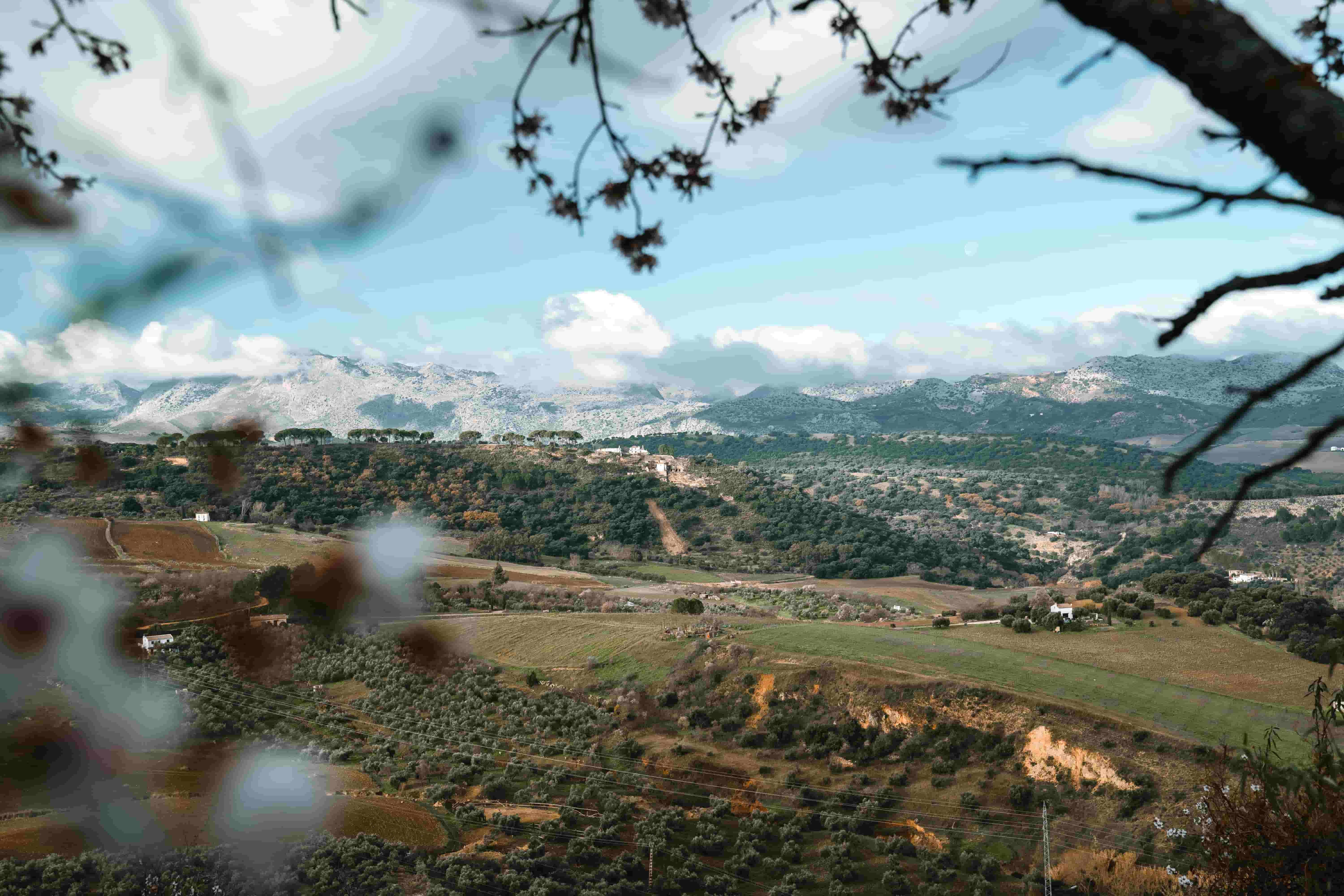 parks-nature-alicante-mallorca-malaga