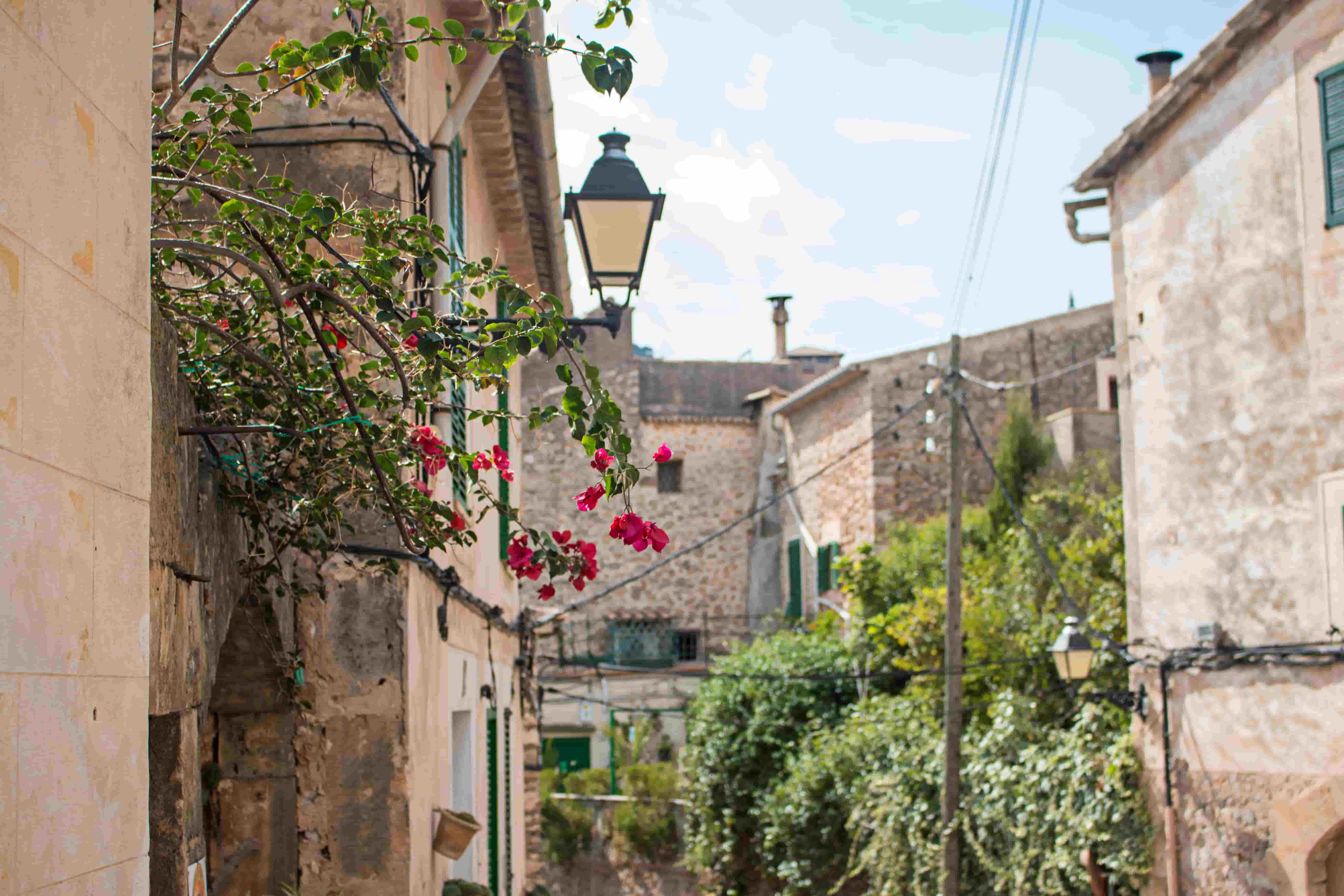 primavera-interior-mallorca