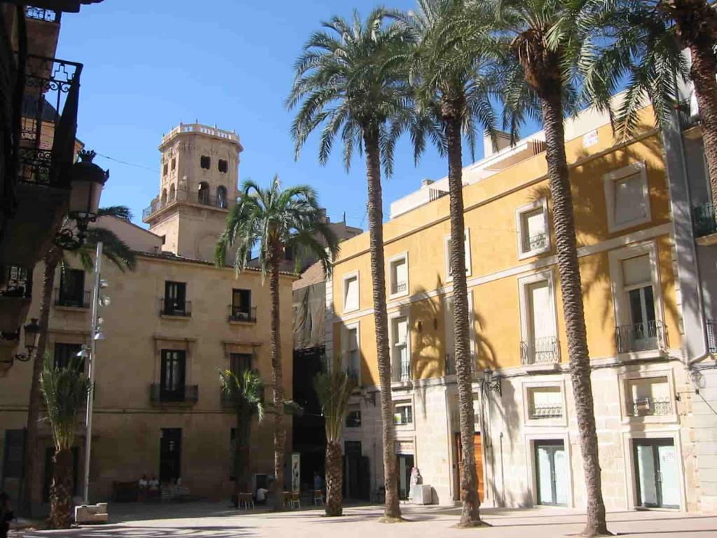 que-ver-alicante-museos-diferentes-visitar