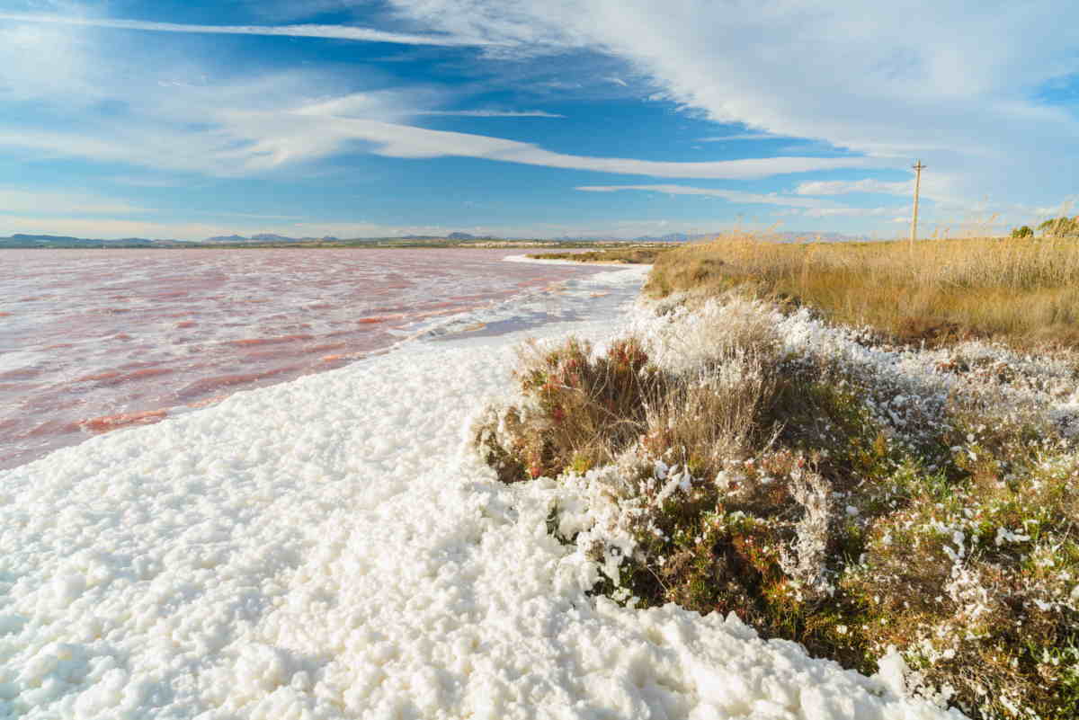 salinas-de-la-mata-alicante-salt