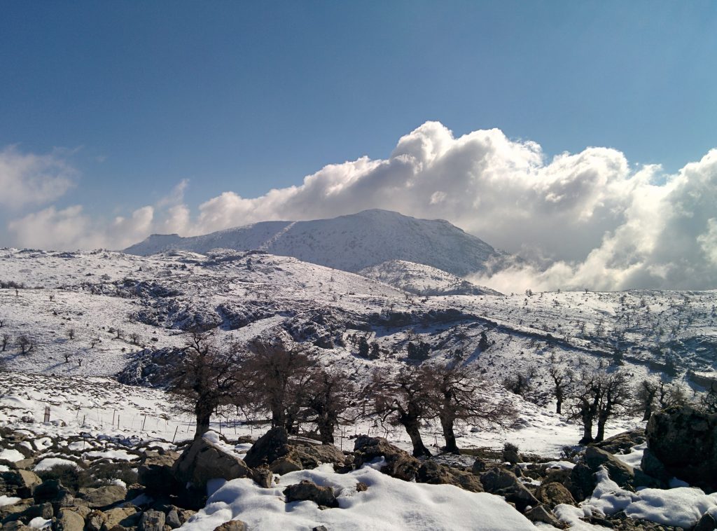 torrecilla-sierra-de-las-nieves-sierra-nevada